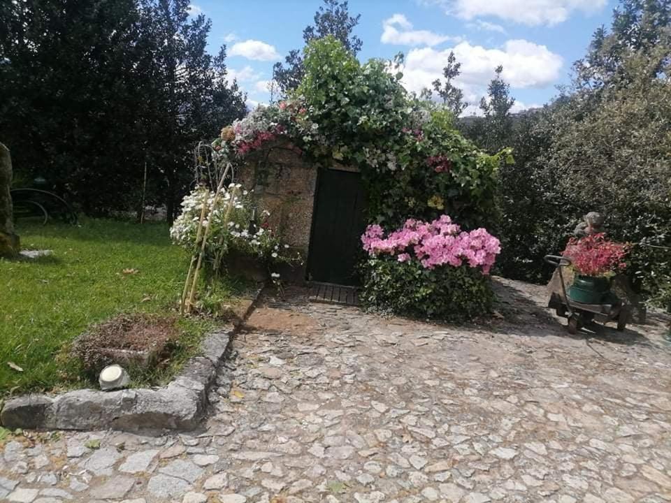 Quinta Da Cartida Villa Santa Marinha do Zêzere Exteriör bild